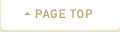 Pagetop